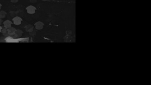 Ski areál SEVERKA v Dolní Lomné - Chata Severka - Dolní Lomná - 28.10.2025 v 04:31 Ski areál SEVERKA v Dolní Lomné - Chata Severka - Dolní Lomná - 28.10.2025 v 04:31