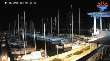Murter