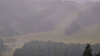 Snímek    7.7.2025 v 09:01