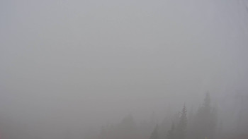 Snímek    15.10.2025 v 11:45