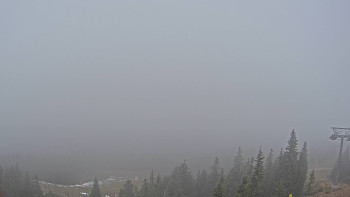 Snímek 8.11.2025 v 12:45