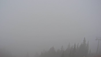 Snímek 17.11.2025 v 10:45