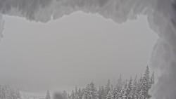 Bergstation Weißenelfbahn