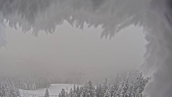 Bergstation Weißenelfbahn