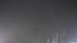 Bergstation Weißenelfbahn