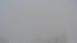 Bergstation Weißenelfbahn