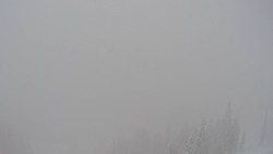 Bergstation Weißenelfbahn