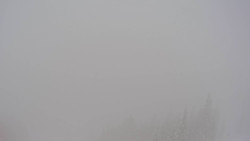 Bergstation Weißenelfbahn