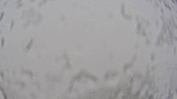 Bergstation Weißenelfbahn