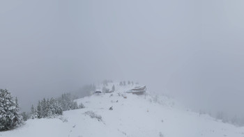 Snímek    3.11.2025 v 09:16