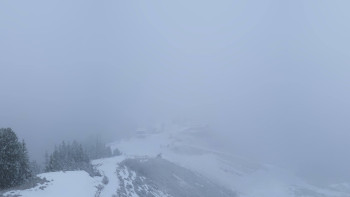 Snímek 17.11.2025 v 08:31