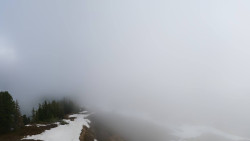 Hochsitz