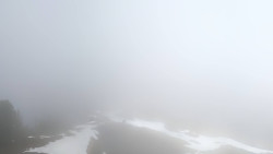Hochsitz