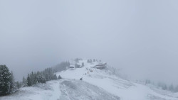Hochsitz