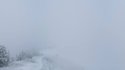 Hochsitz