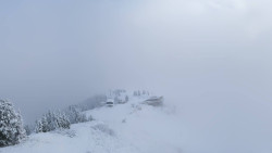 Hochsitz