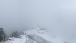 Hochsitz