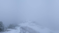 Hochsitz