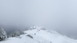 Hochsitz