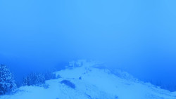 Hochsitz