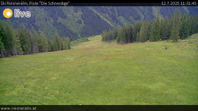 Ski Riesneralm - Piste "Die Schneidige" - 12.7.2025 v 11:31 Ski Riesneralm - Piste "Die Schneidige" - 12.7.2025 v 11:31