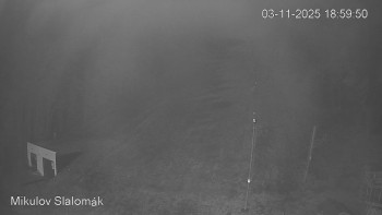 Snímek    3.11.2025 v 19:00