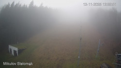 Vlek Mikulov, Slalomový svah