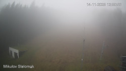 Vlek Mikulov, Slalomový svah