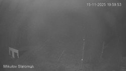 Vlek Mikulov, Slalomový svah