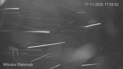 Vlek Mikulov, Slalomový svah