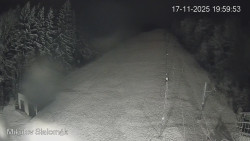 Vlek Mikulov, Slalomový svah