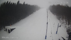 Vlek Mikulov, Slalomový svah