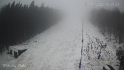 Vlek Mikulov, Slalomový svah