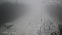 Vlek Mikulov, Slalomový svah