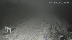 Vlek Mikulov, Slalomový svah