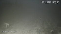 Vlek Mikulov, Slalomový svah