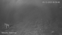 Vlek Mikulov, Slalomový svah