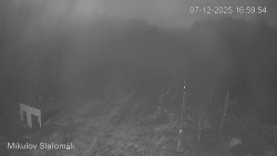 Vlek Mikulov, Slalomový svah