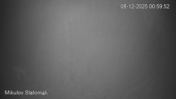 Vlek Mikulov, Slalomový svah