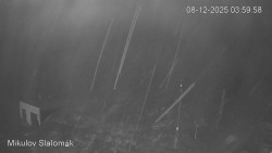 Vlek Mikulov, Slalomový svah