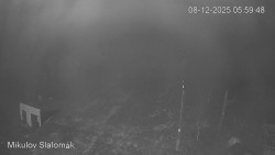 Vlek Mikulov, Slalomový svah