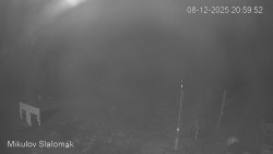 Vlek Mikulov, Slalomový svah