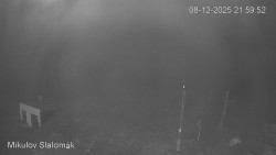 Vlek Mikulov, Slalomový svah