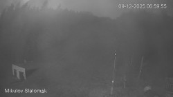 Vlek Mikulov, Slalomový svah