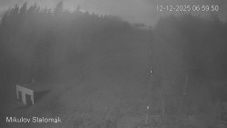 Vlek Mikulov, Slalomový svah