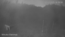 Vlek Mikulov, Slalomový svah