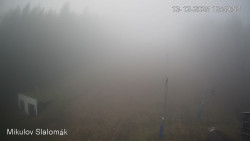 Vlek Mikulov, Slalomový svah