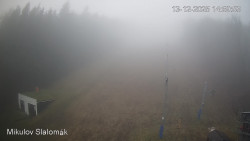 Vlek Mikulov, Slalomový svah