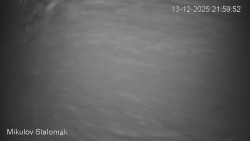 Vlek Mikulov, Slalomový svah