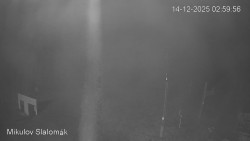 Vlek Mikulov, Slalomový svah